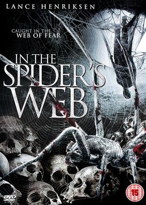 In the Spider's Web