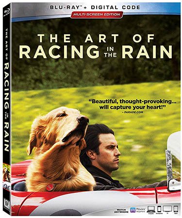 The Art of Racing in the Rain