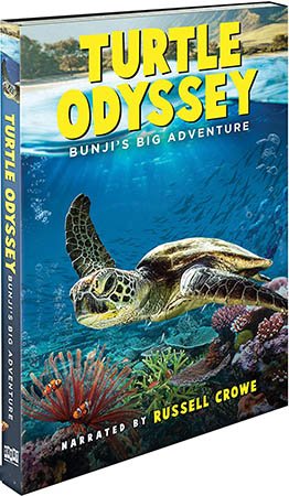 Turtle Odyssey