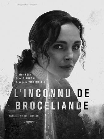 L'Inconnu de Brocéliande