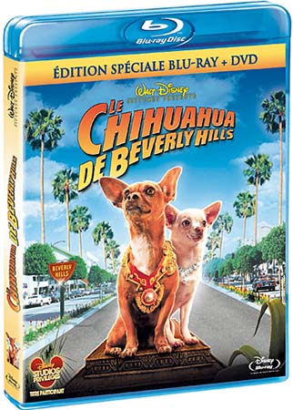 Le Chihuahua de Beverly Hills