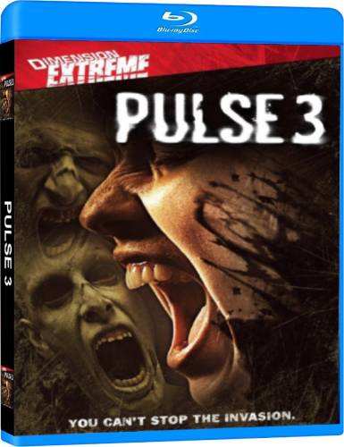 Pulse 3