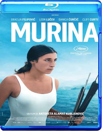 Murina