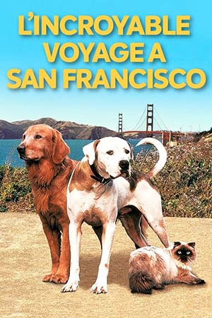 L'Incroyable Voyage à San Francisco