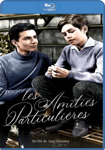 Les amitiés particulières