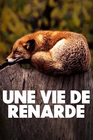 Une vie de renarde