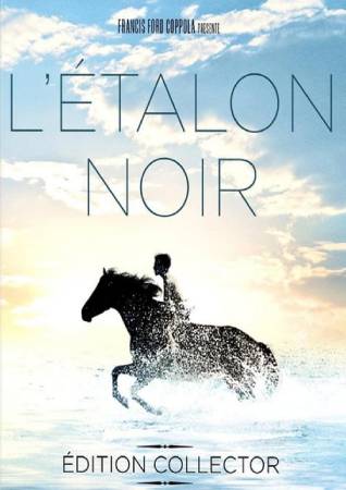 L'Etalon noir