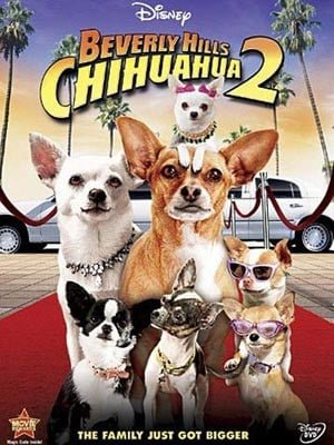 Le Chihuahua de Beverly Hills 2