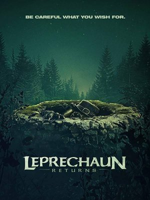 Leprechaun Returns