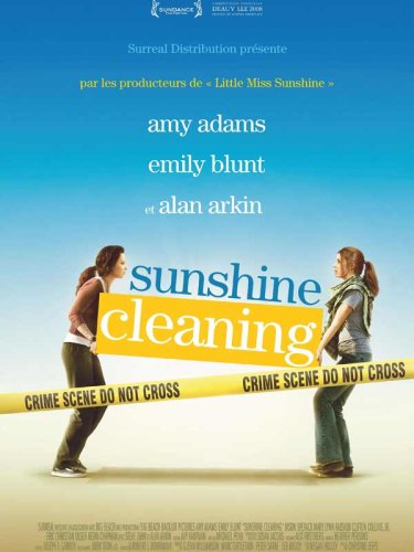 Sunshine Cleaning