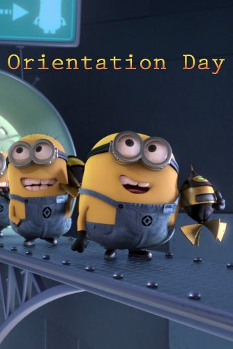 La Folie des Minions : La Journée d'Orientation