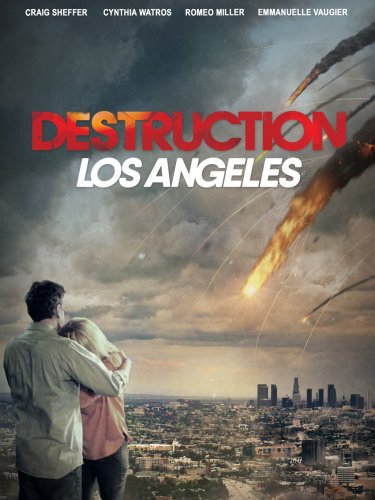 Destruction Los Angeles