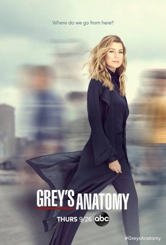 Grey's Anatomy - Saison 16