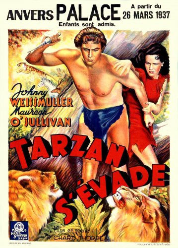 Tarzan s'évade