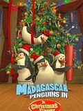 Madagascar - Mission Noël