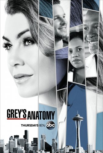 Grey's Anatomy - Saison 16