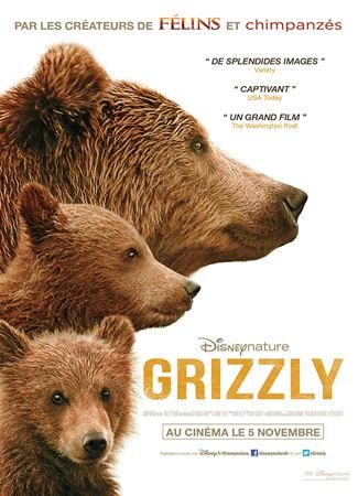 Grizzly